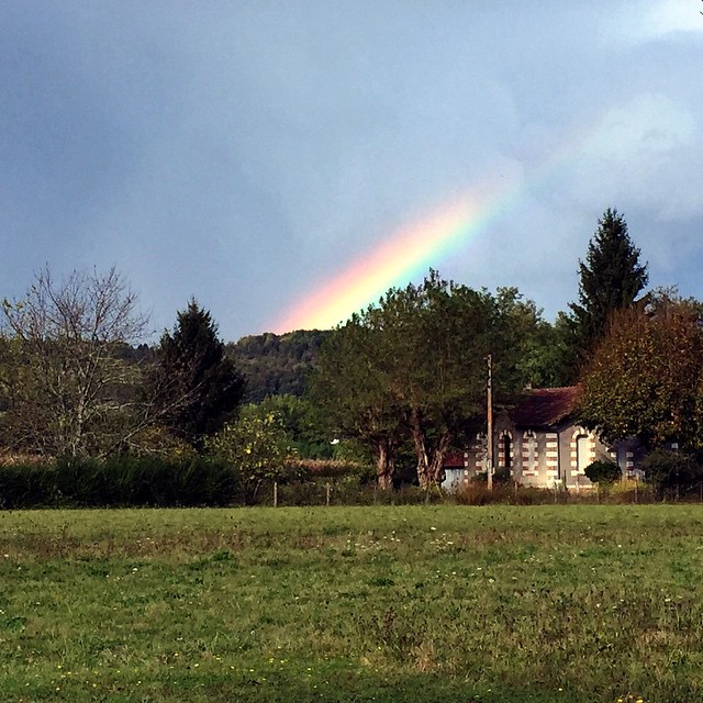 a rainbow above the green grass outside in a town