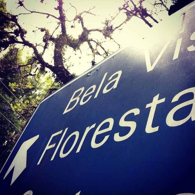 a close up of a sign with trees in the background