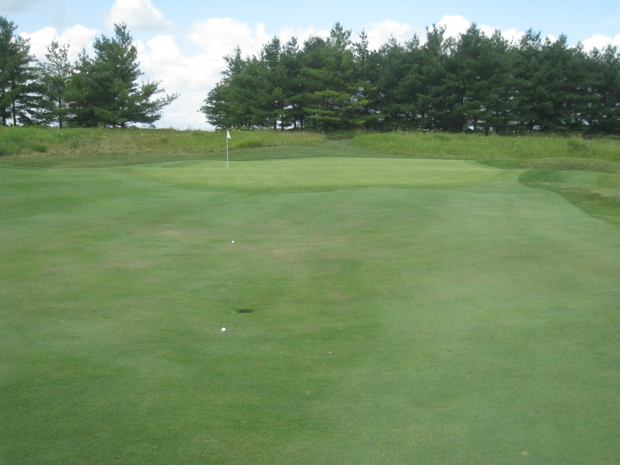 a golf green that has two white balls on it