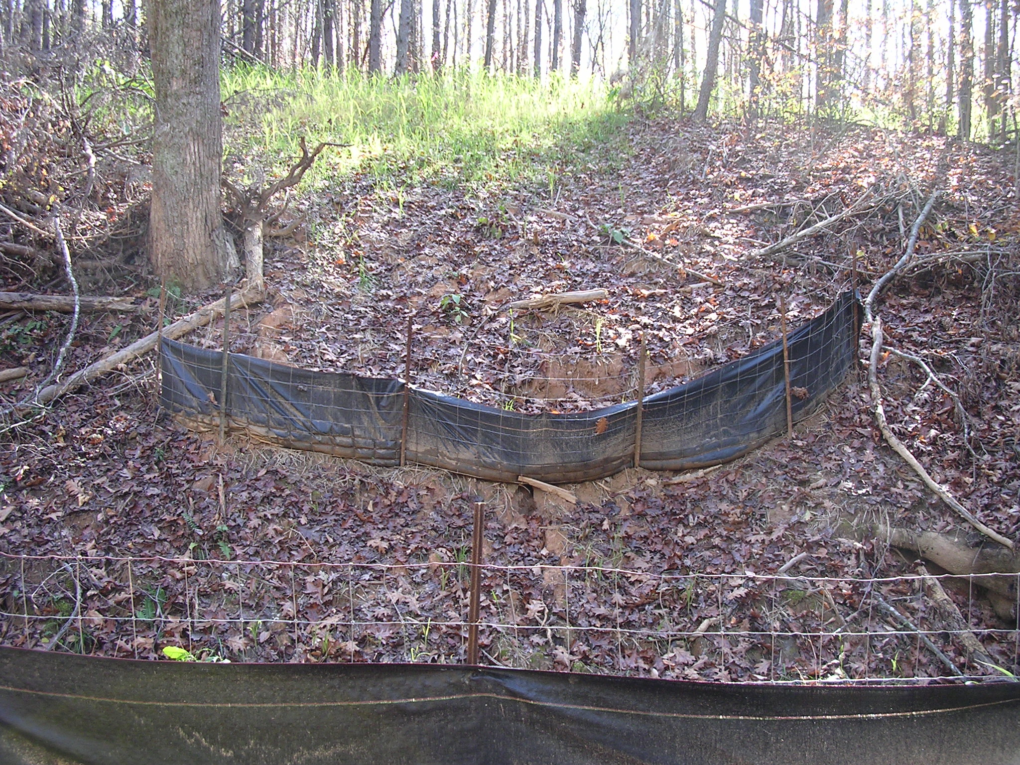 a long piece of wood sitting in a pile of leaves