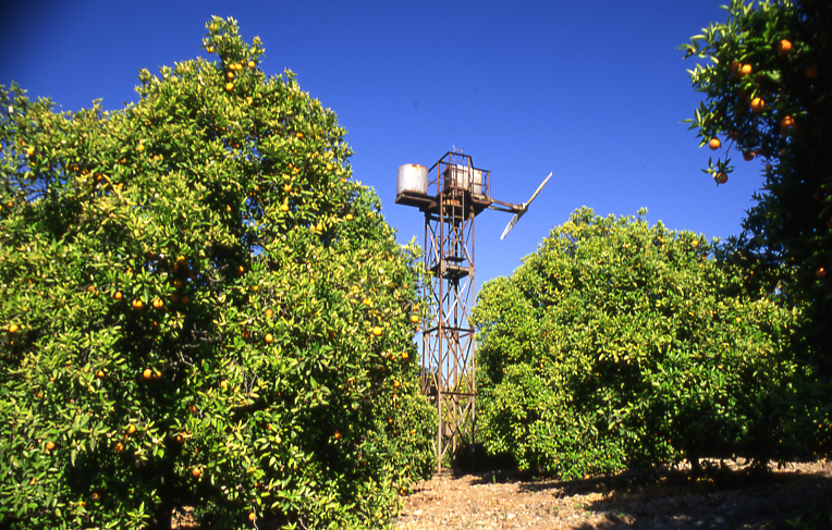 the windmill is made up of a tower and a group of orange trees