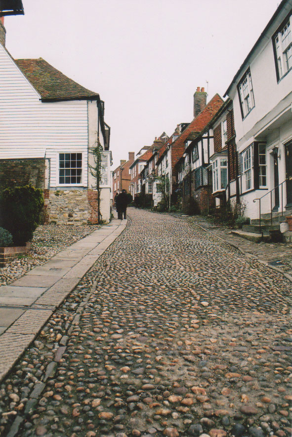 a person is walking on a cobblestone road