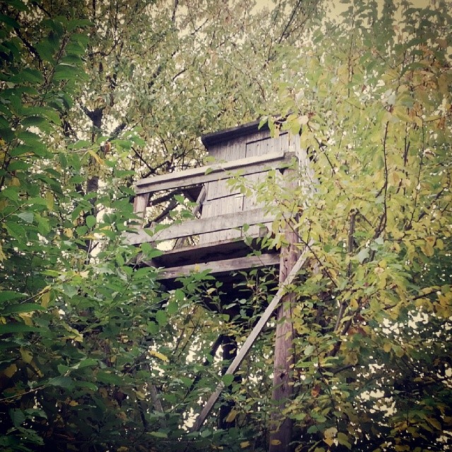 an old out house sitting in the middle of some trees