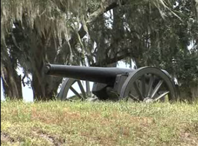there is a black cannon sitting under a tree