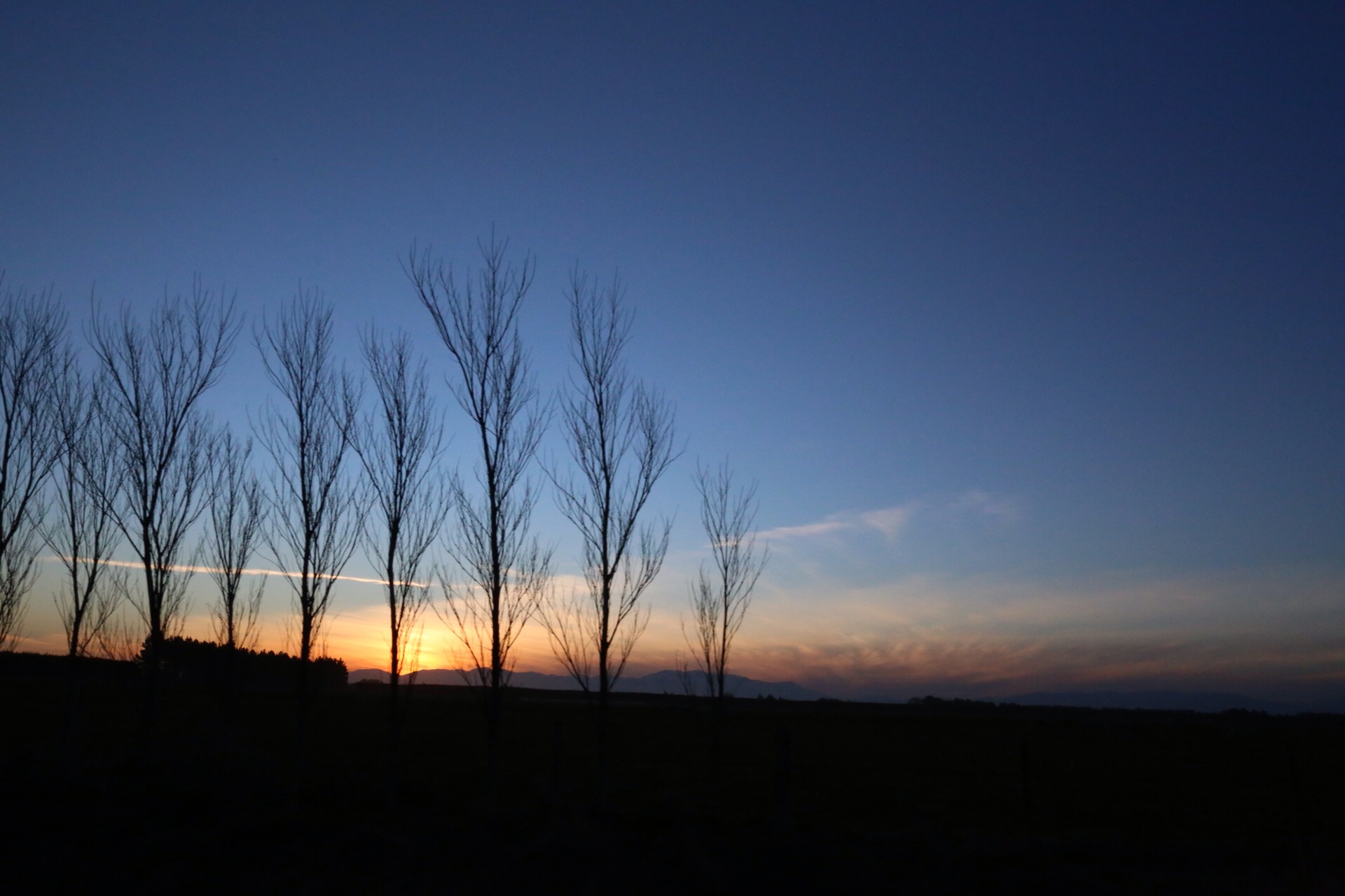 the sunset is seen behind trees in the distance