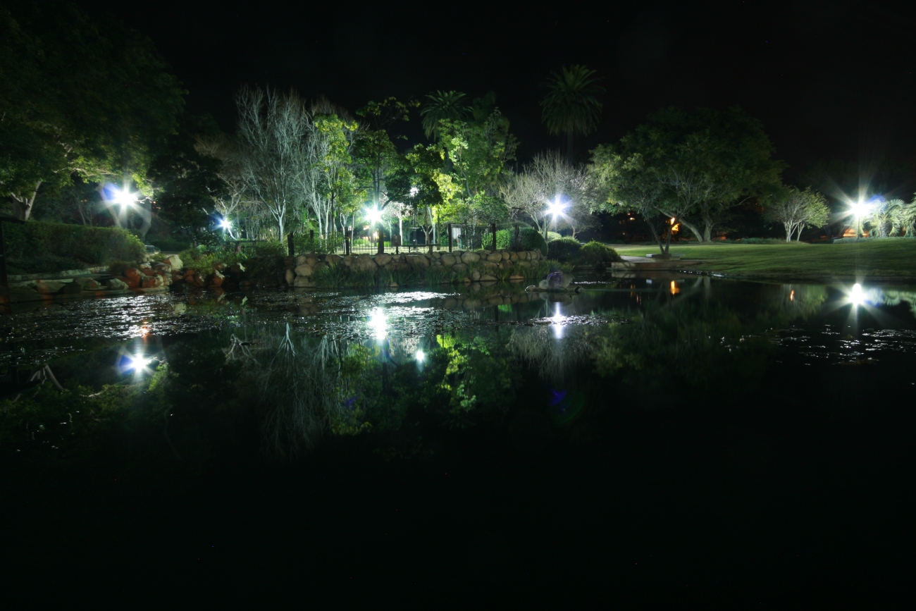 the lights are shining on the trees over a lake