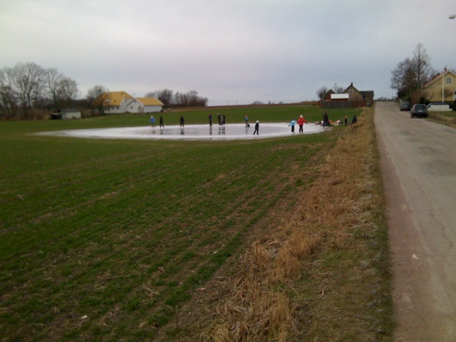 a group of people standing near a pond on a farm