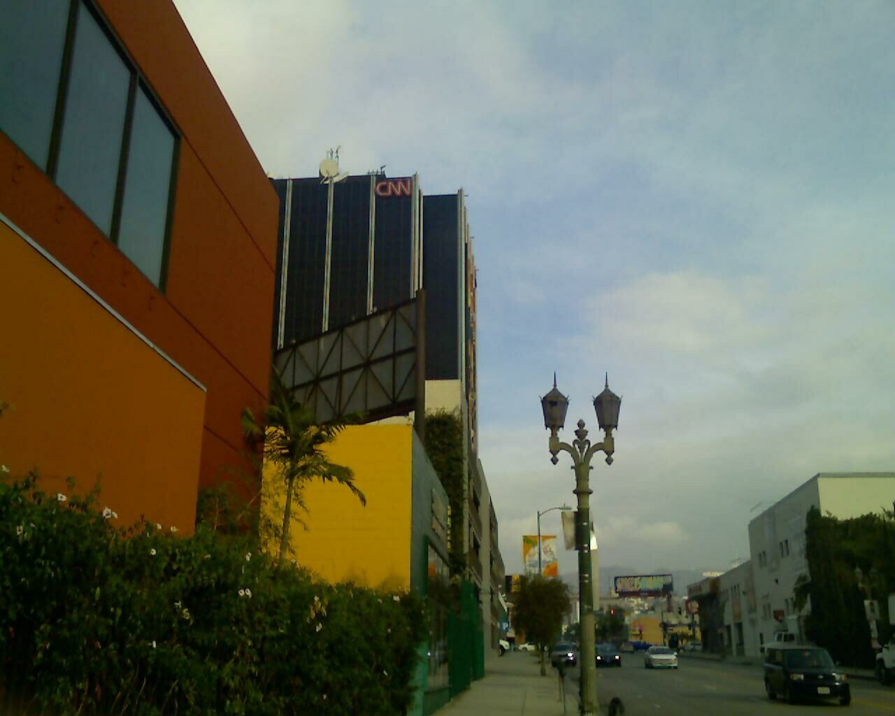 a row of green plants line the sidewalk near an orange building