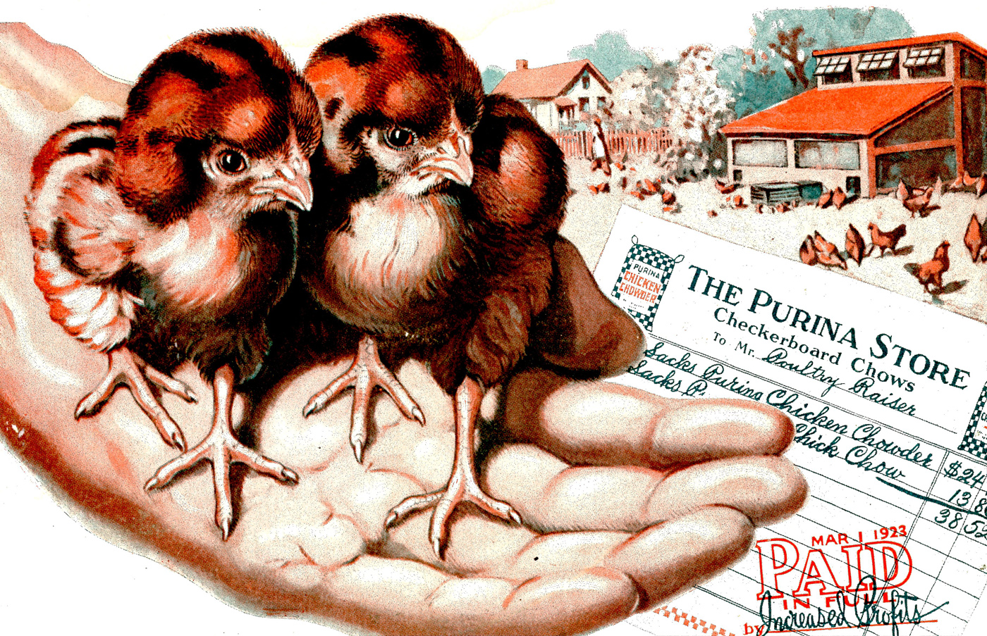 two small birds sitting on top of the palm of a hand