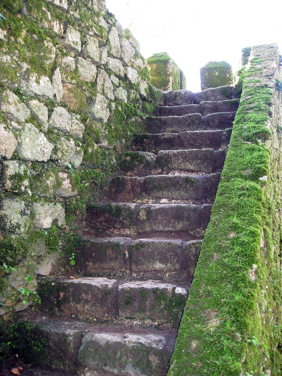 some stairs are covered in moss and stone