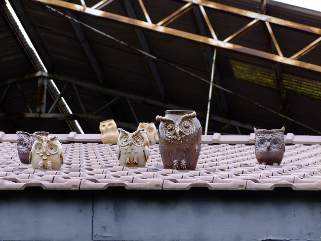 five owl shaped ceramic cups on a shelf