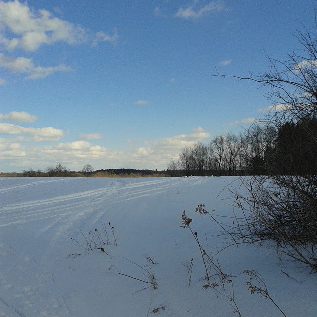 a field with a large snow covered hill in the distance
