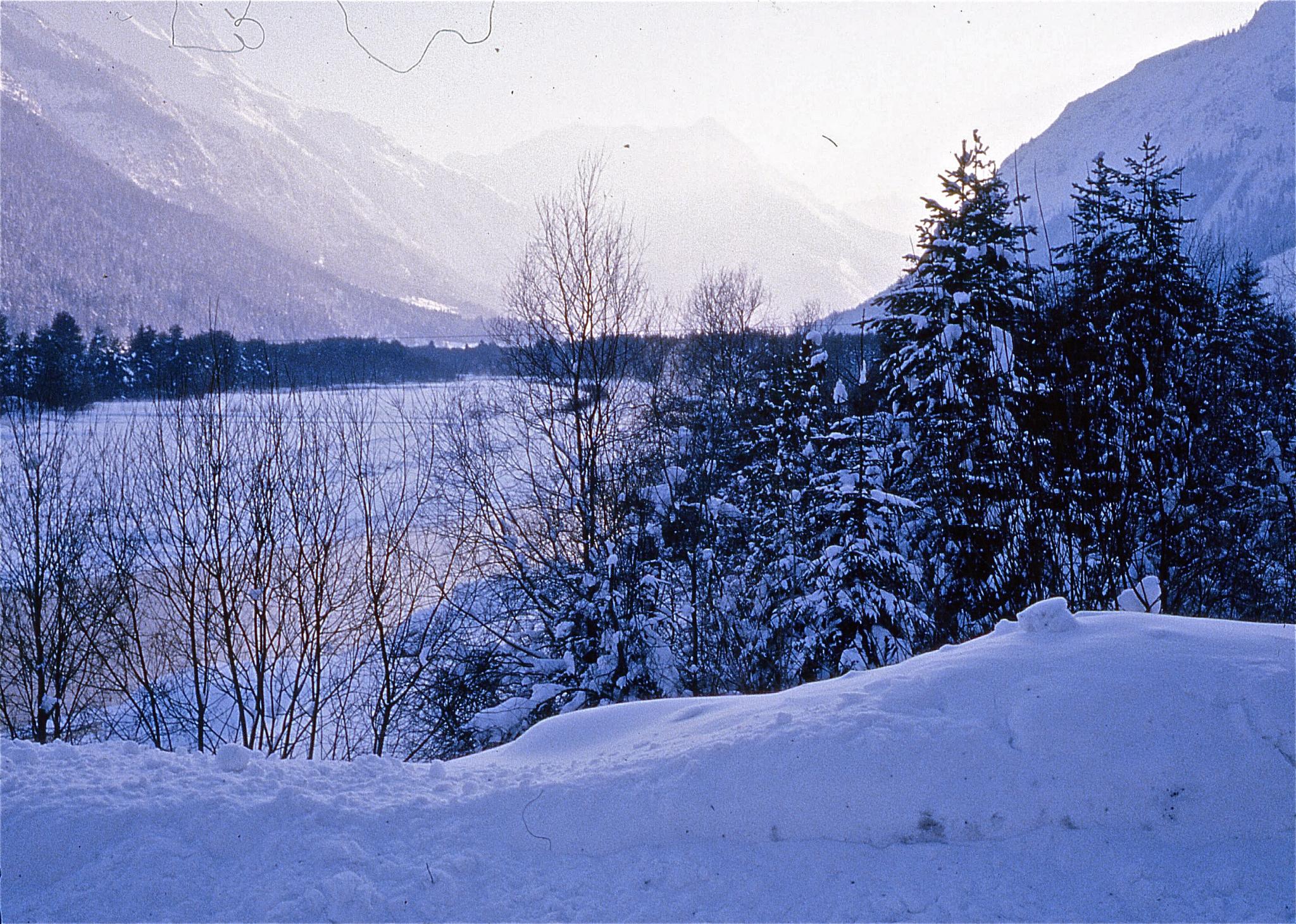 a snow covered hill that has trees in it