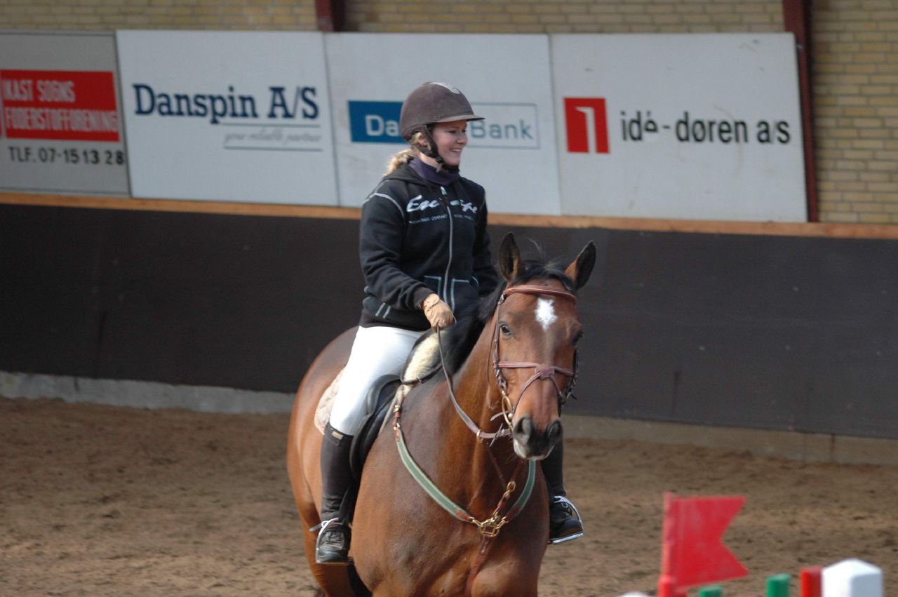 a woman on a brown horse during an event