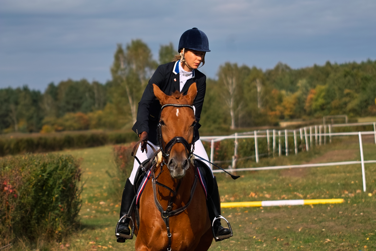 a person riding on the back of a brown horse