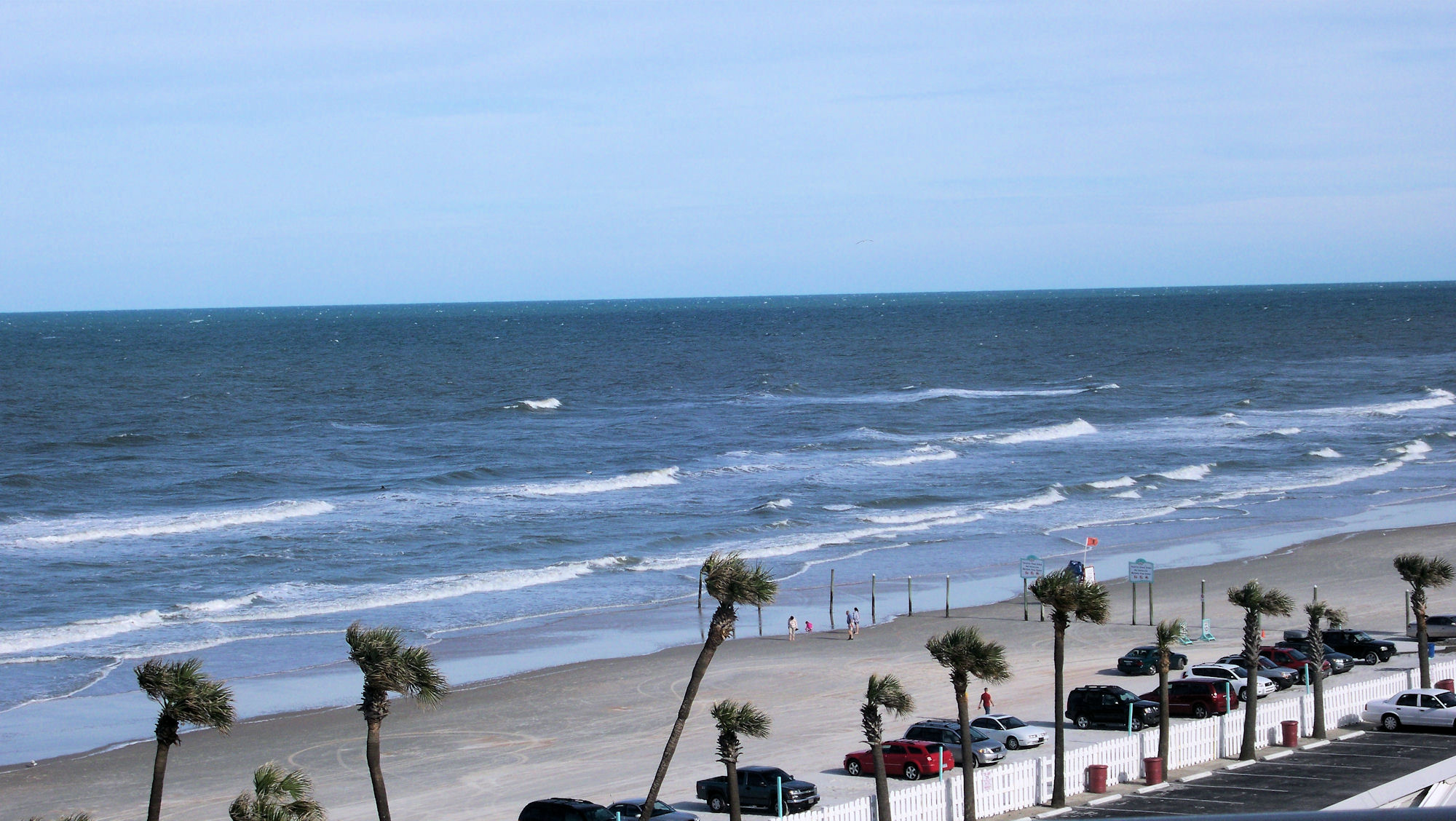 the beach is lined with palm trees and parked cars