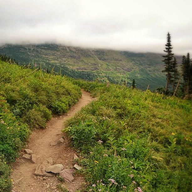 the path is winding on both sides and has grass all around it