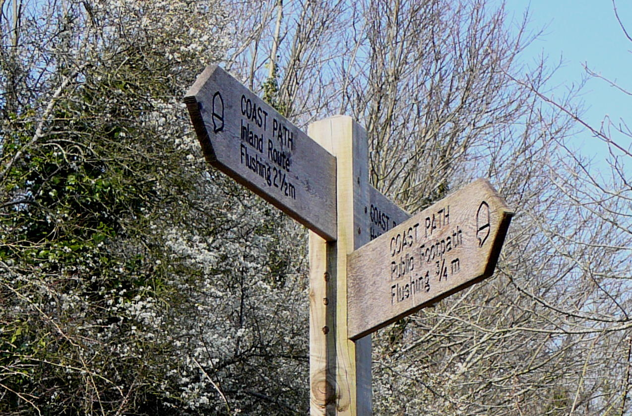 a sign giving directions in the woods pointing to a lot