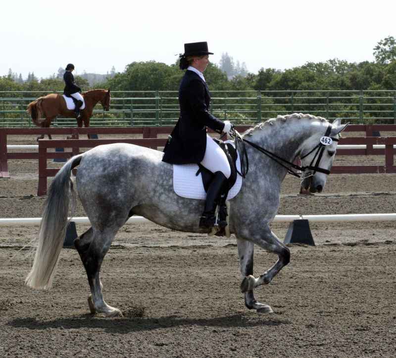 a man in black riding on the back of a gray horse