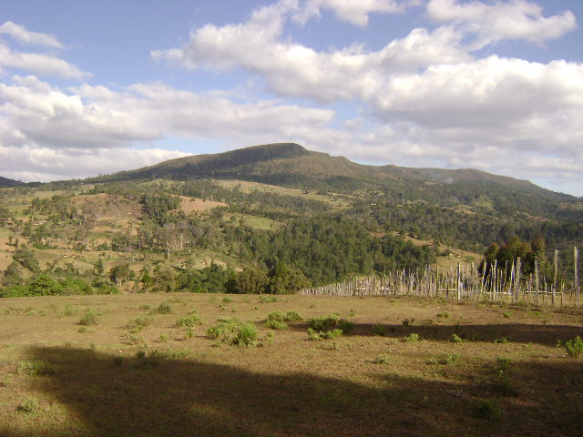 a large field with some trees and mountains in the background