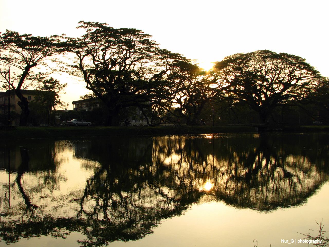 a view of the reflection of the trees in the water