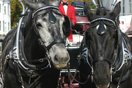 two horses are pulling a carriage down the street