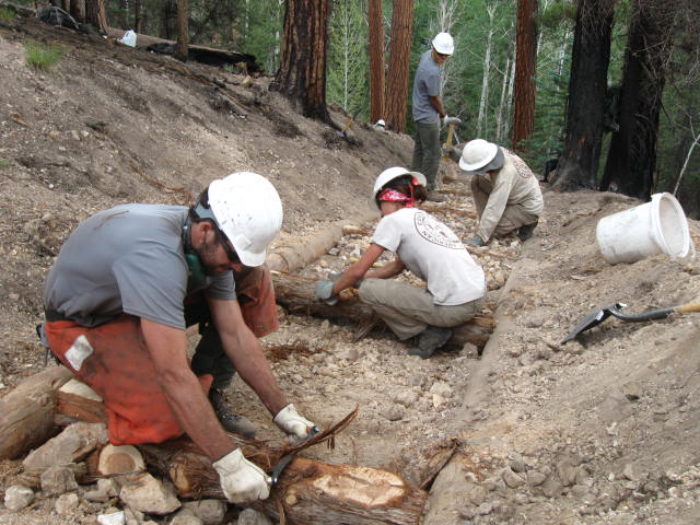 people work on laying logs in the woods