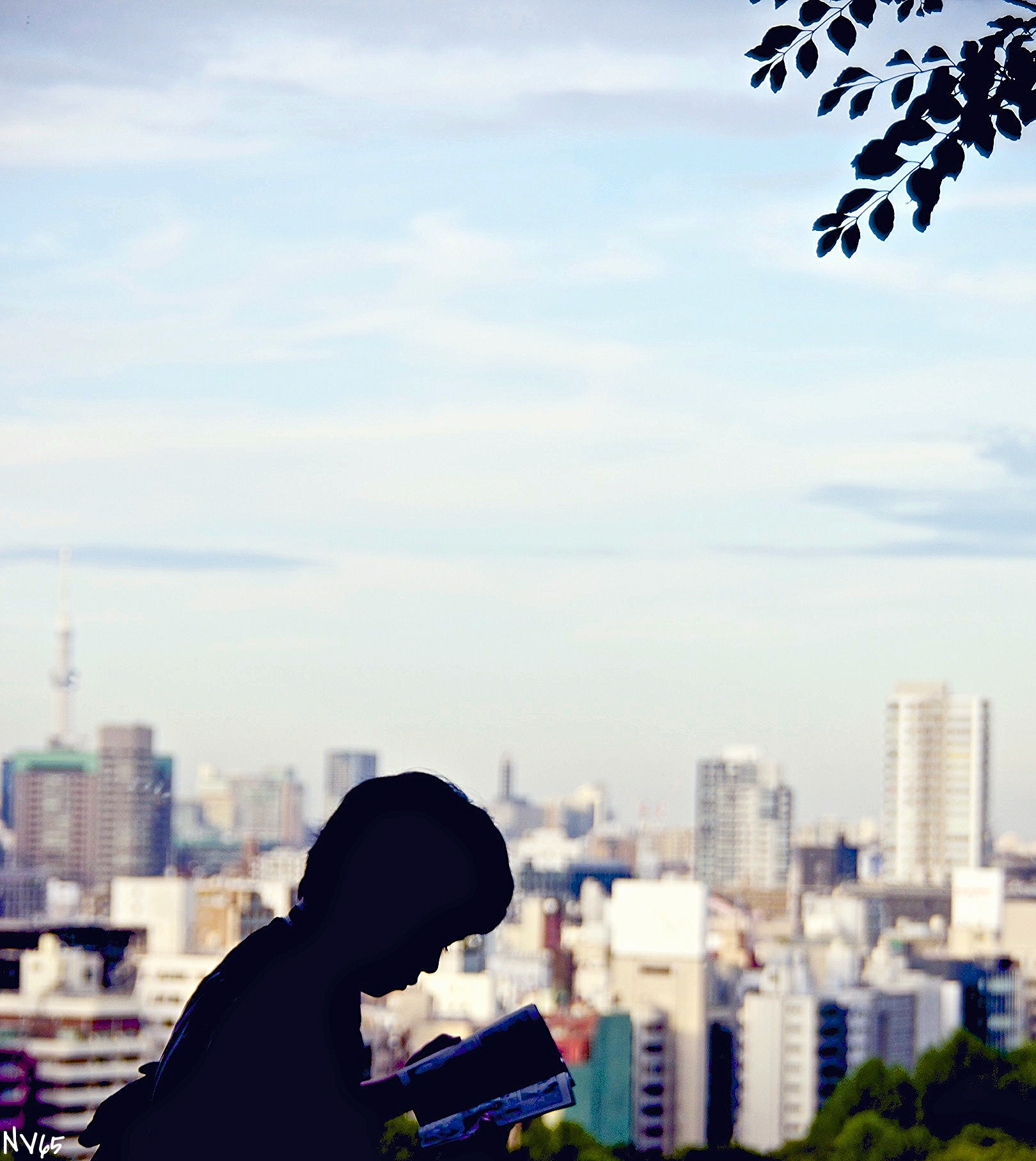 the shadow of the man is standing in front of a cityscape