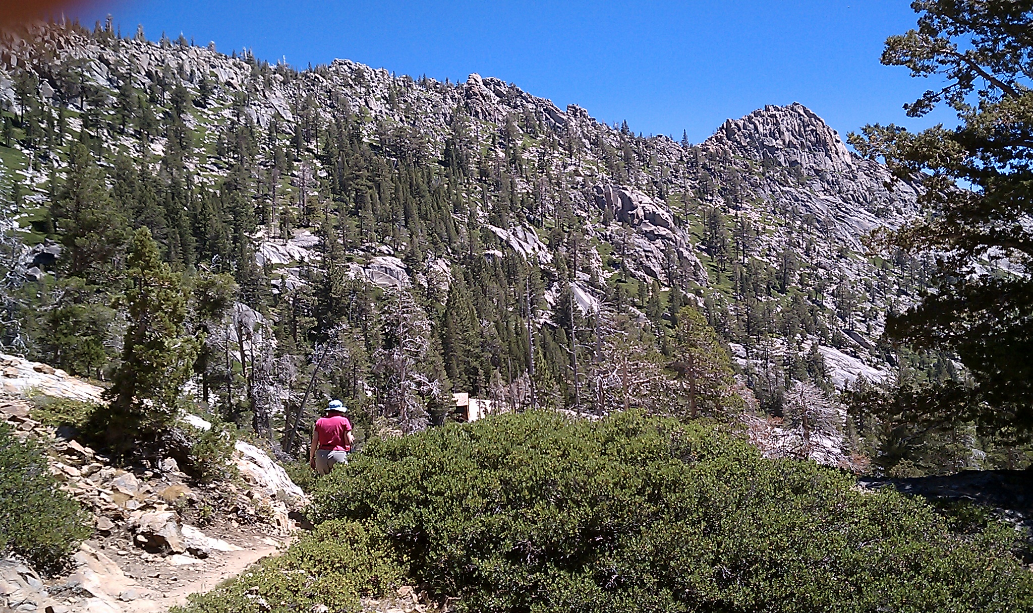 people hiking in the woods in the mountains