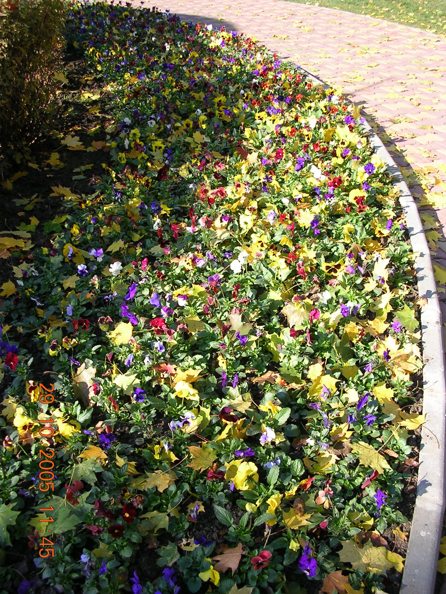 a sidewalk with a flower bed near it