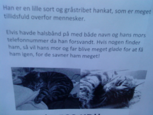 an image of a postcard with a cat sleeping on someones back