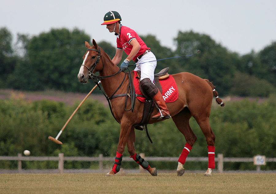 a person on a horse playing polo in a field