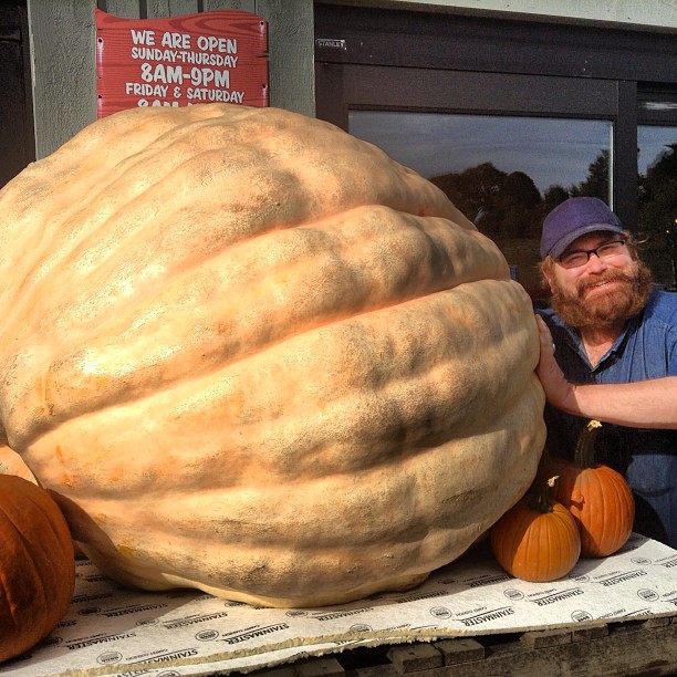 a man is looking at a giant pumpkin in front of a store