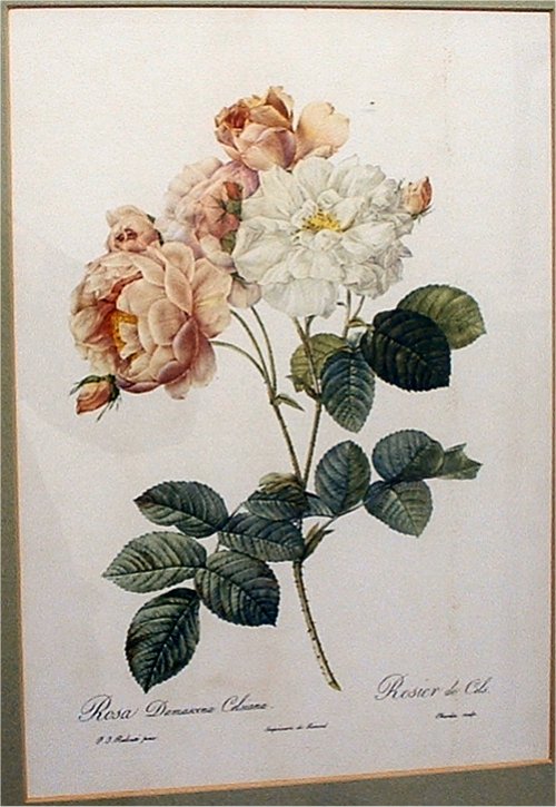 a framed artwork depicts several beautiful flowers with green leaves