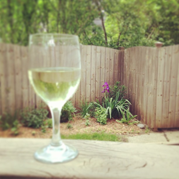a glass of white wine sitting next to a wooden fence