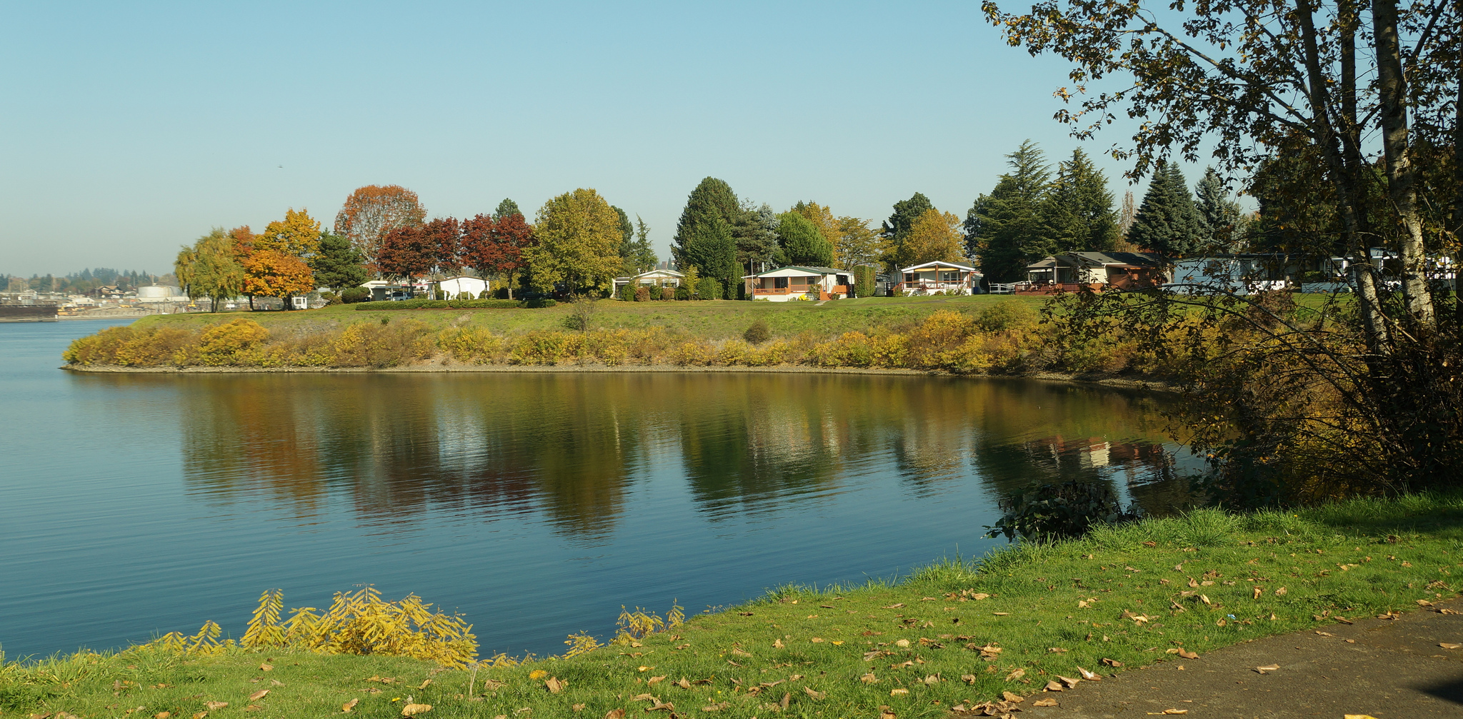 a view of the lake from a hill