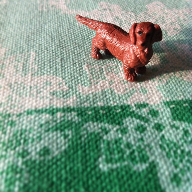 the small red toy dog is on a green towel