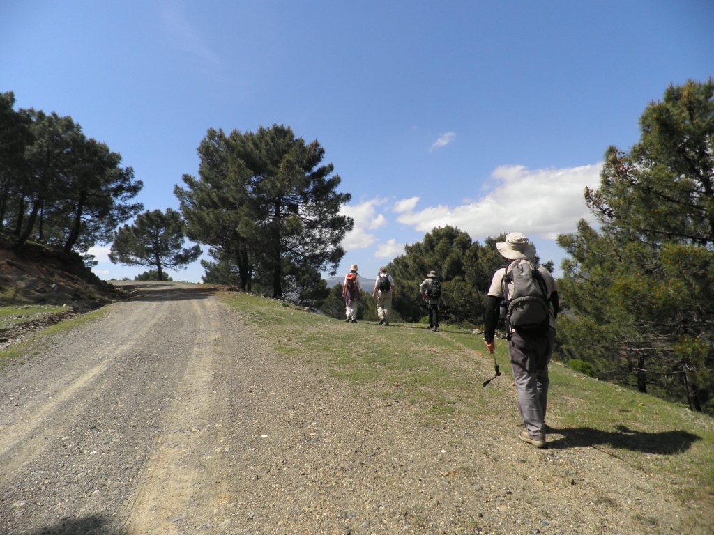 a man with a backpack on a road and trees