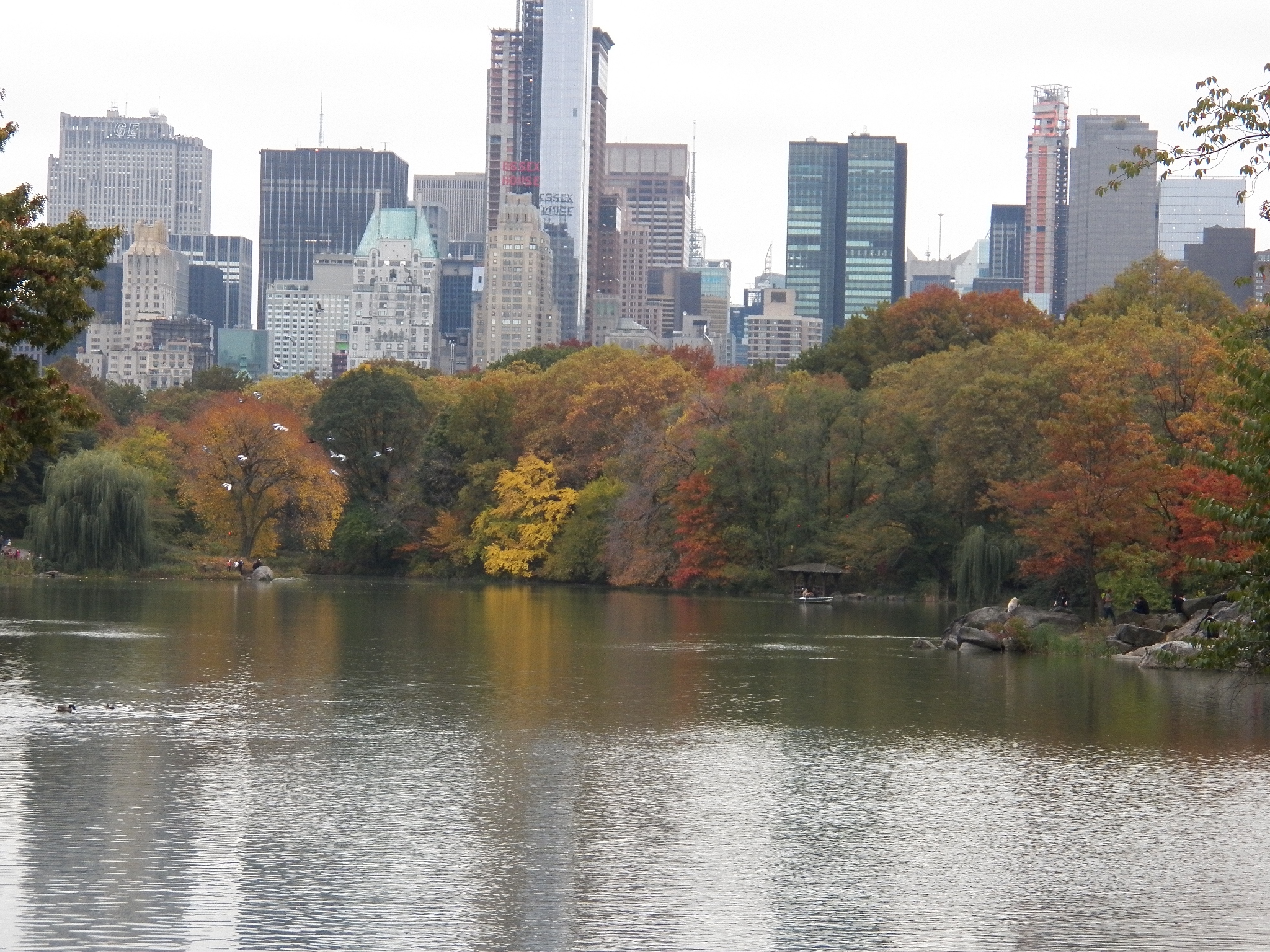 a city skyline stands above the water and trees