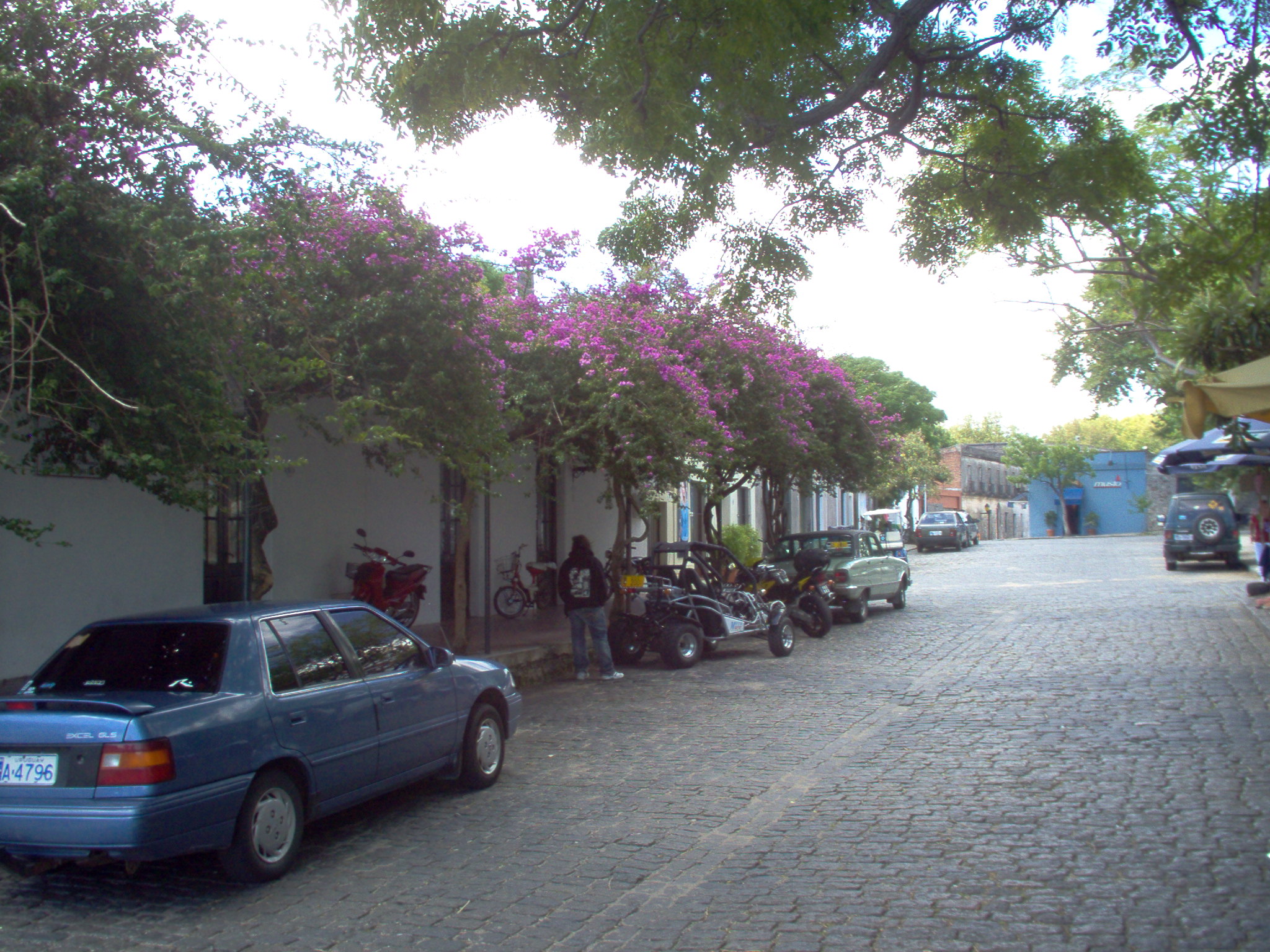 motorcycles and cars parked on the street in a neighborhood