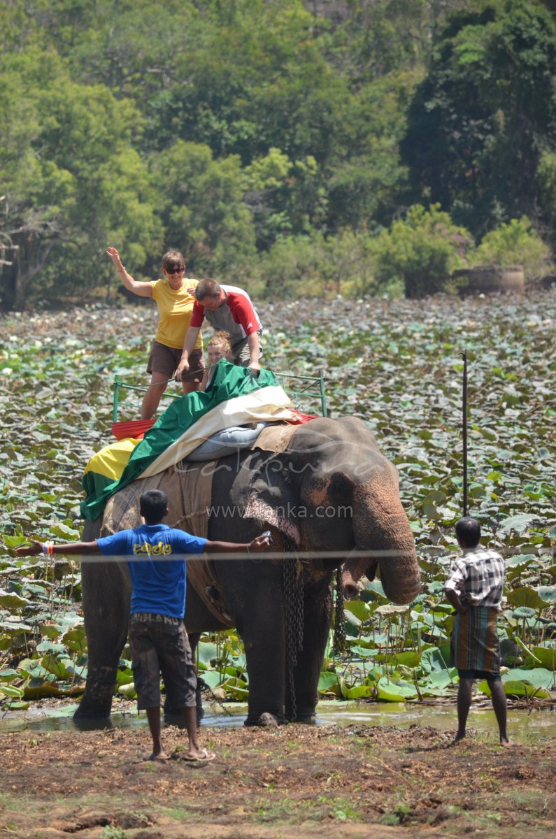 a group of people riding on top of an elephant
