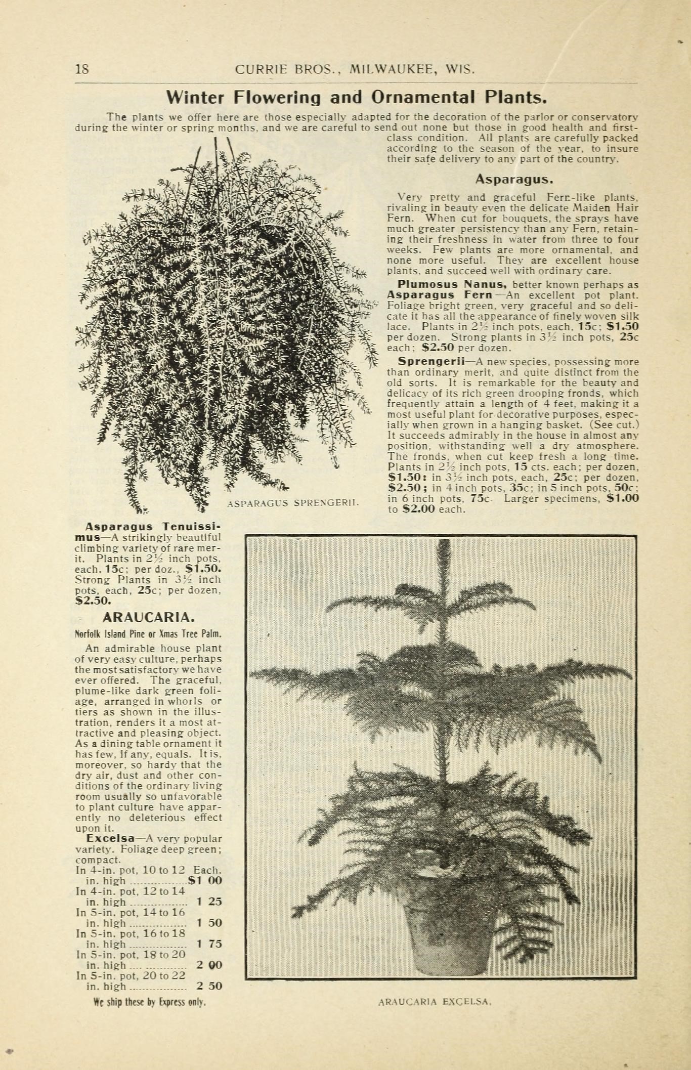 an article about plant growth is shown here