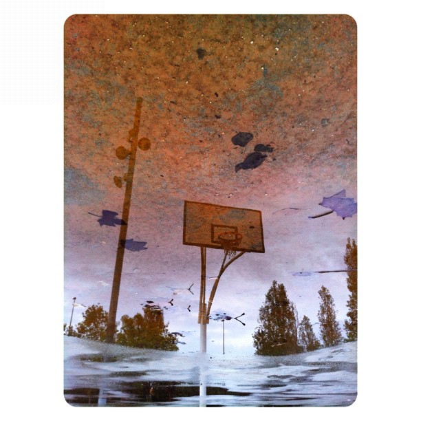 a basketball hoop reflecting in water next to trees
