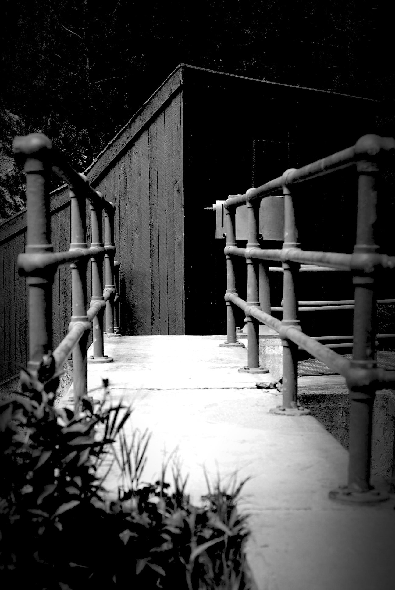 black and white pograph of steps leading to a building