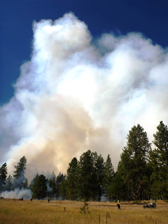 there is a fire coming from a huge cloud in the sky