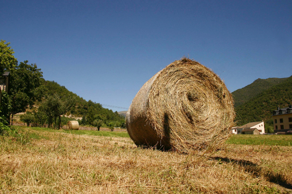 large hay bale in field near a building