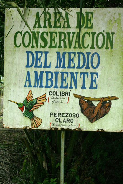 a sign for a medical institution with two birds flying over it