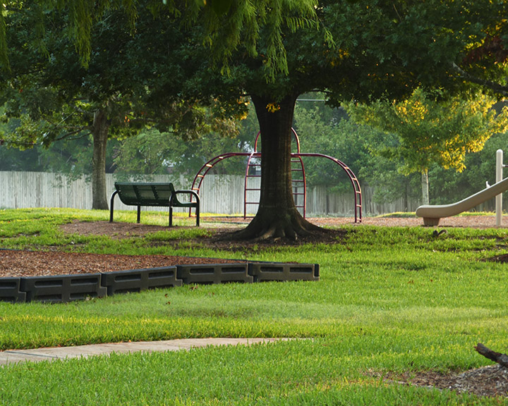 a park with a tree and swing set