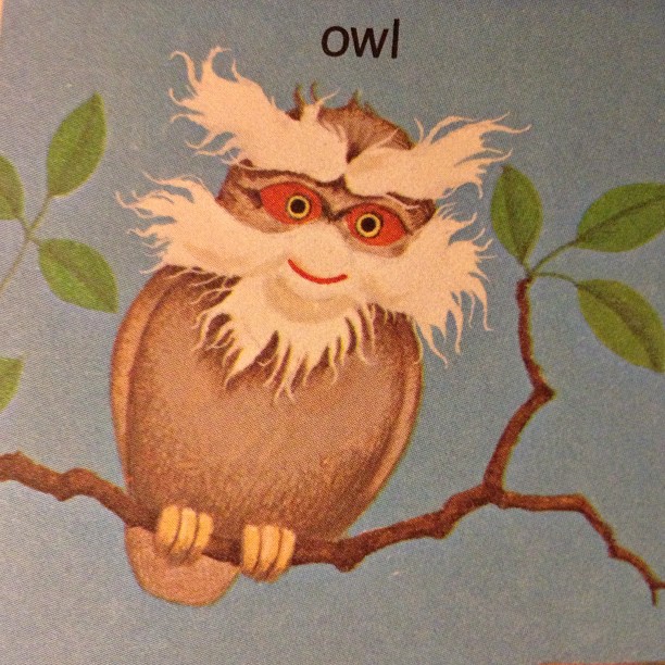 an owl has the word, i am only 2