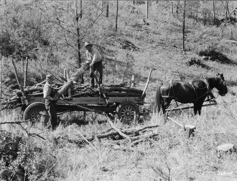 the farmer is standing on top of the wagon